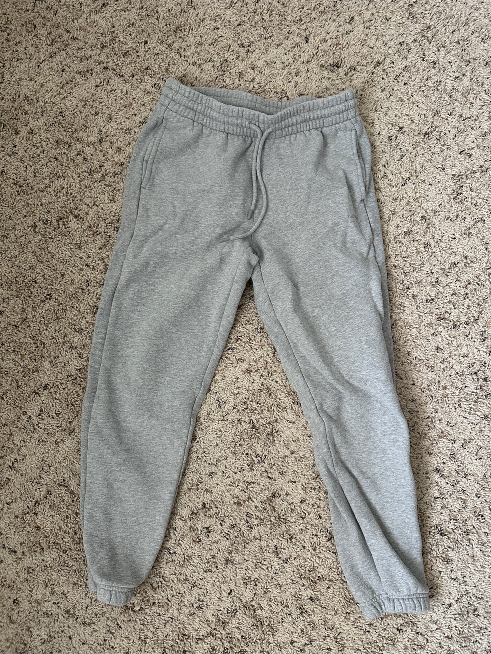 Aritzia SweatFleece Cozy Fleece Sweatpants  - Light Gray